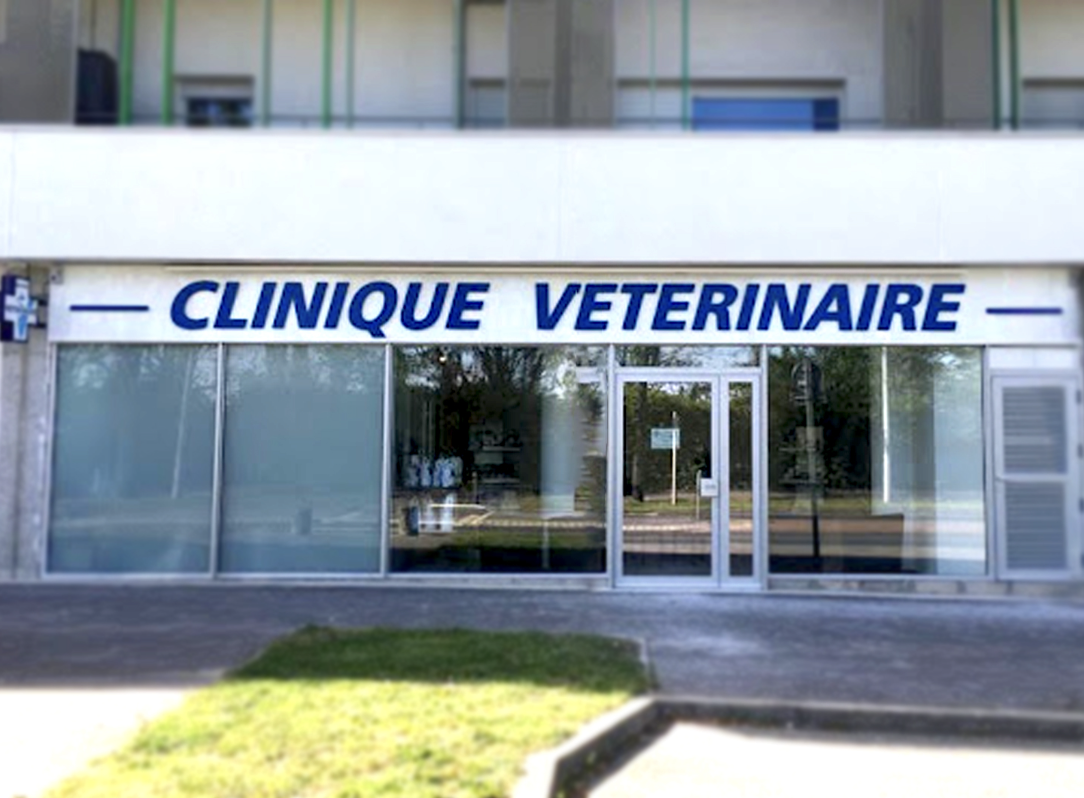 Clinique vétérinaire du Grand Paris - Orly